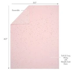 Ballerina Baby Blanket -Lambs & Ivy ballerina baby blanket full callout a