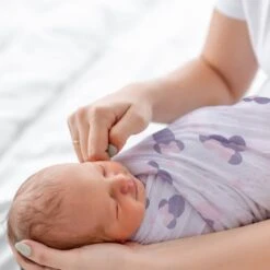 Minnie Mouse Swaddle Blanket & Plush Gift Set -Lambs & Ivy minnie swaddle baby