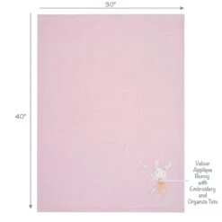 Tiny Dancer Baby Blanket -Lambs & Ivy tiny dancers blanket full callout